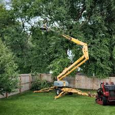 Best Tree Maintenance Programs  in Kearns, UT